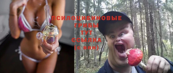 эйфоретик Балахна