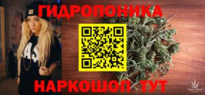 таблы Сланцы