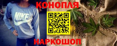 тгк Славгород