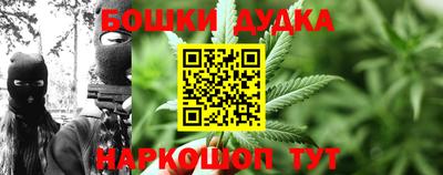тгк Славгород