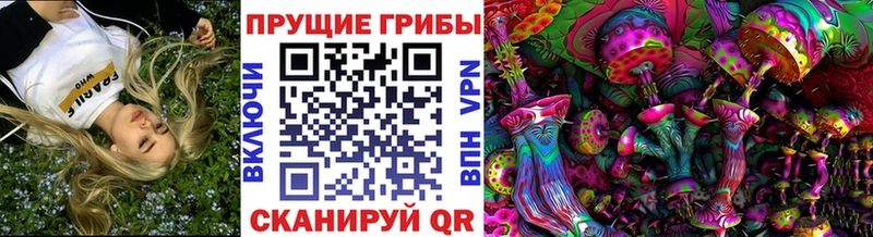 ОМГ ОМГ   Унеча  Псилоцибиновые грибы прущие грибы 