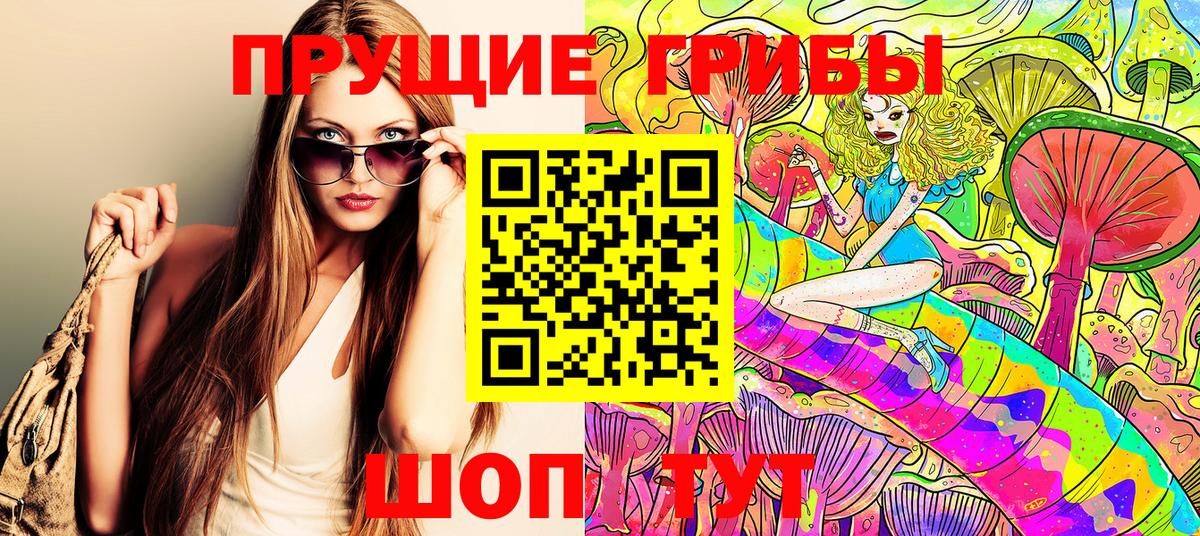Галлюциногенные грибы прущие грибы  Вход с VPN  Унеча 